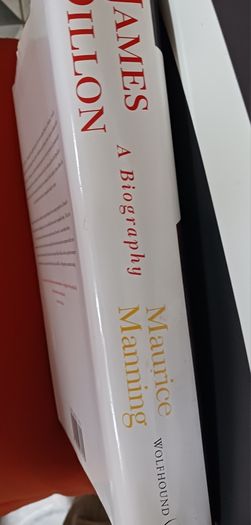 James Dillon/A Biography/ Maurice Manning/1999/ 1st edition/ Wolfhound Press