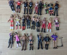 25 WWE Figures