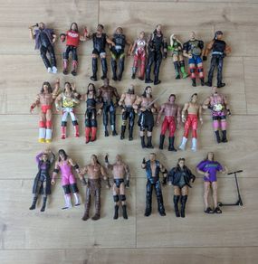 25 WWE Figures
