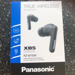Panasonic True wireless