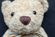 Henry Bear
