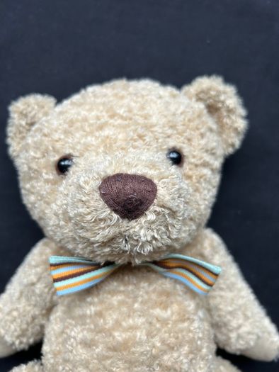 Henry Bear