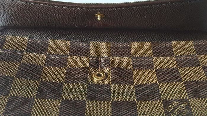 Louis Vuitton  Purse