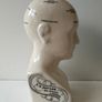 phrenology bust Image 2