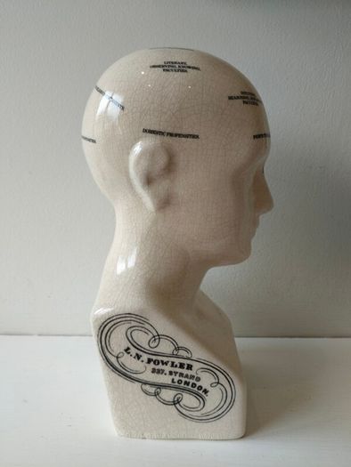 phrenology bust