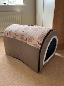 Dog bed folds flat