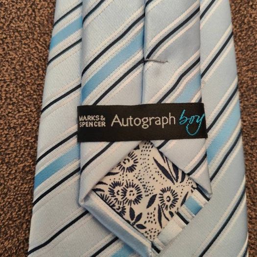 Blue striped tie