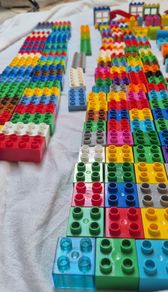 Large DUPLO Bundle 205 Pieces