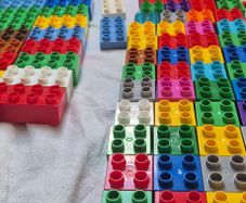 Large DUPLO Bundle 205 Pieces