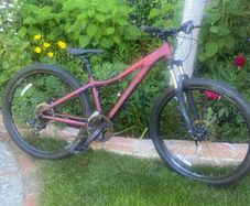 Giant Liv Bliss Bike Xs