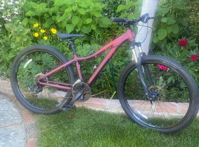 Giant Liv Bliss Bike Xs