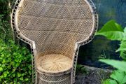 Mid-century emmanuelle peacock chair