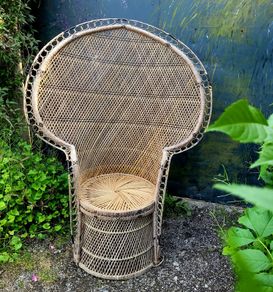 Mid-century emmanuelle peacock chair