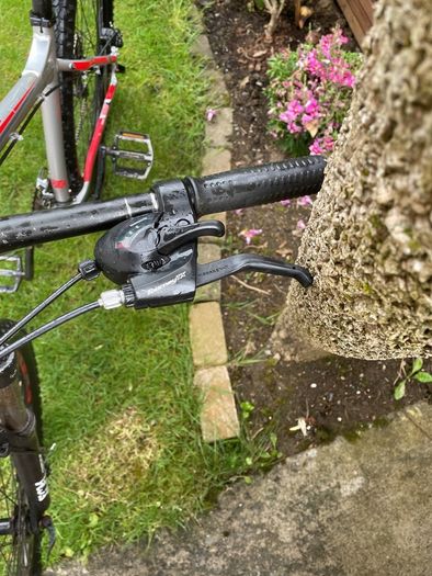 Carrera Mountain Bike silver/red