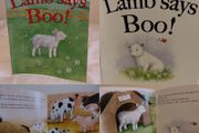 Lamb Says Boo Storybook By Katherine Sully