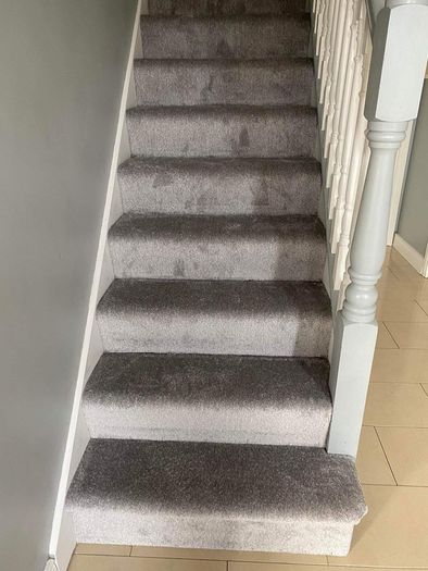 Carpet