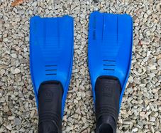 Flippers Size 4-5