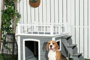 Dog House, Rooftop Terrace, Stairs, Window, Ground Clearance, Natural Wood, Light Gray, 121 x 77 x 78cm