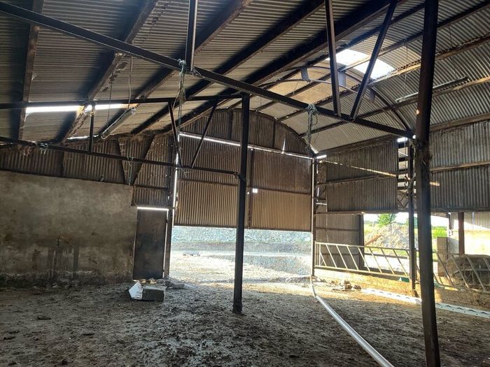 Cattle shed
