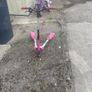 Flicker Image 2