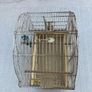 Bird cage Image 2
