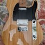 telecaster Image 2