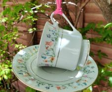 Bird Feeder