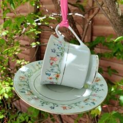 Bird Feeder