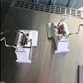 fridges Image 4
