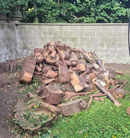 Wood pile