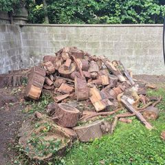 Wood pile