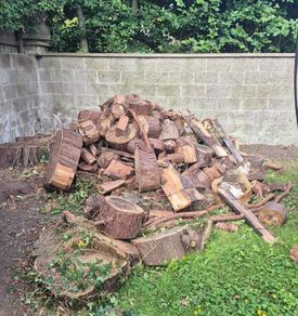 Wood pile
