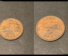 irish 1/2 penny 1949 leat pingin coin