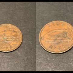 irish 1/2 penny 1949 leat pingin coin