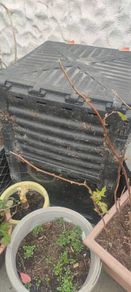 large compost bin free