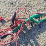 Electric Strimmers Image 4