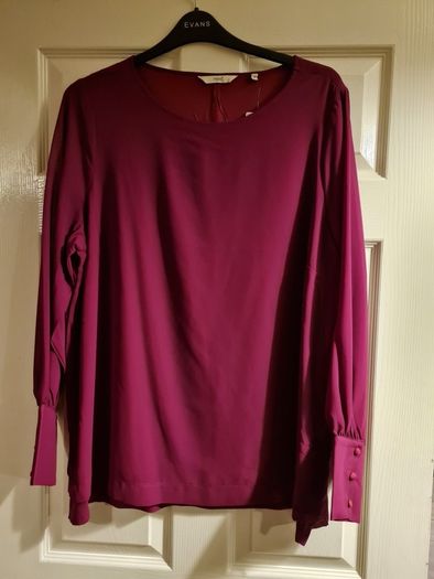 PLUS SIZE (22) NEXT Pink Chiffon Blouse. New