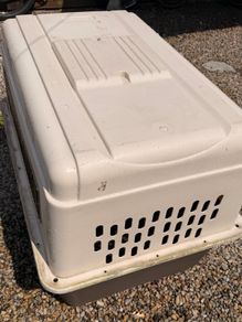XL Dog travel kennel