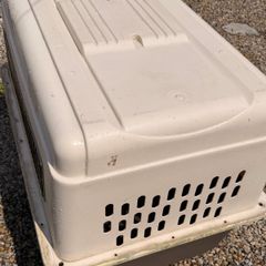 XL Dog travel kennel