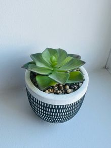 Artificial Plant in Pot- Home Decor