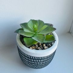 Artificial Plant in Pot- Home Decor