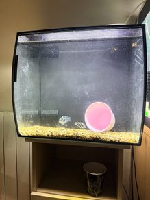 fish tank 54 litre