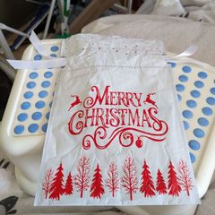 Christmas gift bag