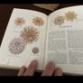 The Complete Readers Digest Library of the Garden in three volumes Image 7