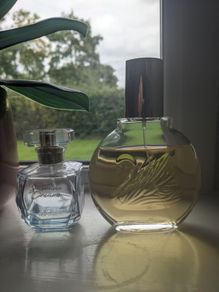 Perfume