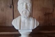 bust