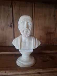 bust
