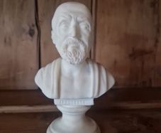 bust