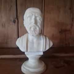 bust