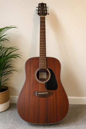 Takamine Acoustic